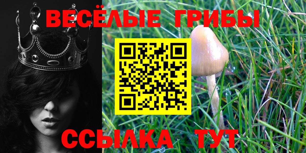 Псилоцибиновые грибы мицелий  как найти   Дубна  Галлюциногенные грибы Cubensis  Вход с VPN 